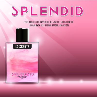 Splendid Inspired by versage bright crystal